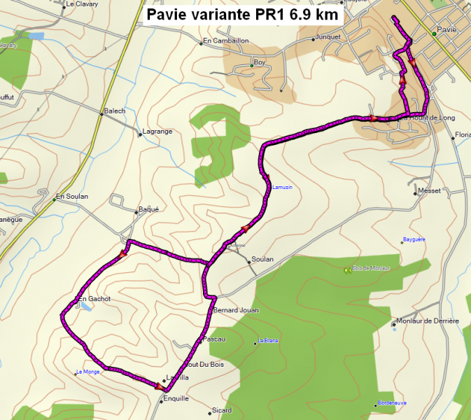 Pavie variante PR1 6.9 km IPB 29